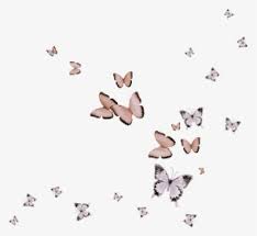 To created add 41 pieces, transparent butterfly images of your project files with the background cleaned. Transparent Butterfly Flying Gif Hd Png Download Transparent Png Image Pngitem