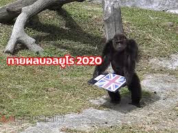 ฟุตบอล ยูโร 2020 รอบสุดท้าย ระเบิดศึกกลางปีหน้า. Jsiepwx0lmmiwm