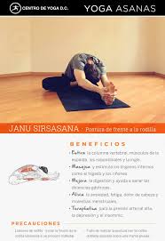 Beneficios De La Practica De Yoga Janu Sirsasana Centro De Yoga Dc Diego Cano Yoga Centro De Yoga Yoga Beneficios
