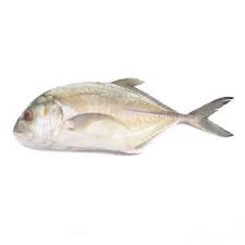 Beli ikan putih online berkualitas dengan harga murah terbaru 2021 di tokopedia! Ikan Nyok Putih White Bigeye Trevally 1kg Per Pack Sold Per Pack Horeca Suppliers Supplybunny