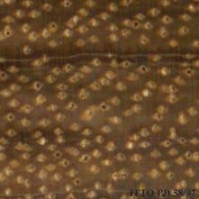 Image result for Julbernardia