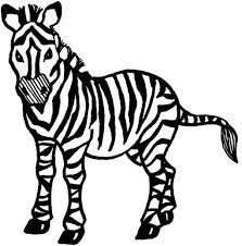There's a lot of conflicting information, but many experts say the color of a zebra is black with white stripes. Drawing Zebra 12996 Animals Printable Coloring Pages