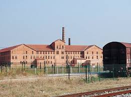 Rsultat de recherche d'images pour "camp des milles photos"