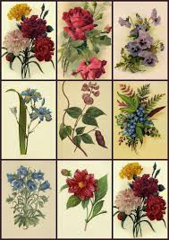 Artbyjean Vintage Clip Art 2011 02 27 Clip Art Vintage Vintage Art Prints Vintage Flower Prints