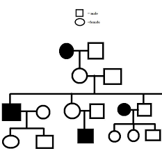 Jake Made A Pedigree To Trace The Traits Of Straight And