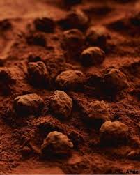 Truffes Au Chocolat Pour 15 Personnes Recettes Elle A Table Recette Truffes Au Chocolat Truffe Recette Truffe Chocolat