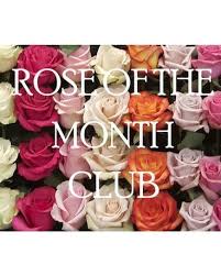 Check spelling or type a new query. Rose Of The Month Club In Chicago Il La Salle Flowers