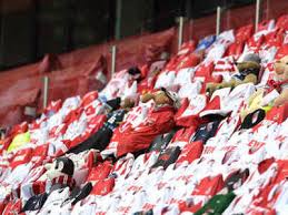 Alle fans & sympathisanten des 1.fc union berlin sind hier herzlich willkommen. Fans Sing In Trees As Union Berlin Seals Bundesliga Survival Football News Times Of India