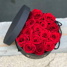 We did not find results for: One Year Roses All Red 16 18 Roses In Torrance Ca Andes Florist