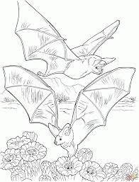 If it is so, there will be some ways that you can do. Pin On Dragon Dinosaur