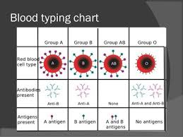 Blood Typing