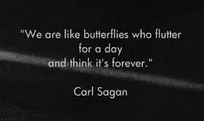 Inspirational Quotes Carl Sagan Inspirational Quotes Carl Sagan Quote