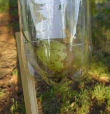 Fruitpicker #diy #crafts please visit www.gripfive.com this is a fruit picker. How To Make A Fruit Picker Diy Mother Earth News