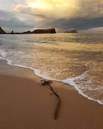 Stunning Light At Seacliff Beach Today Beautiful Shot By Pstewartphoto Seacliff Seacliffbeach Northberwick Beach Beach Sea Cliff Beach Instagram