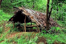Jungle Shelter Portable Shelter Shelter Survival