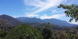 Chamah, gunung yong yap, and gunung ulu sepat (mohd taher et al. Taman Negara Auf Entdeckungstour Im Altesten Wald Der Welt