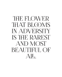 Check spelling or type a new query. The Flower That Blooms In Adversity Motivational Inspiring Quote Minimal Typography Print Digital Art By Studio Grafiikka