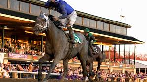 See who is a fan of essential quality. Essential Quality Racehorse Professional Auburnpub Com
