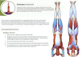 Janu sirsasana is a yoge pose from the asthanga yoga and is beginners pose. Sirsasana Yoga Anatomy Yoga Stretches Yoga