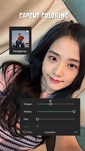 Joselin Bravo (joselinydarkelis)