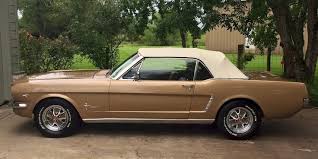 Image result for Prairie Bronze 1964 Mustang