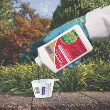 Image result for Pyrethrin