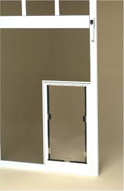 Add the most desired goods to the hale pet door pushes out a 30% off disocunt on site wide orders for xx days. Hale Pet Door Screen Mount Premium Pet Doors Petdoor Door Doors Hale Mount Pet Petdoorscreen Premium Screen Pet Doors Pet Screen Door Screen Mounts