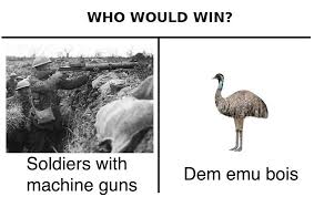 The Emu War Meme Google Search Emu War Historical Humor History Memes