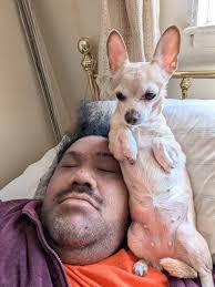 Lost Dog Dolly in Reno, NV, Missing Since June 8, 2024