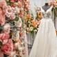 Wedding Expo