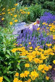 Pin On Garden