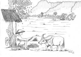 Gambar mewarnai petani buku mewarnai gambar sketsa. Mimpi Petani Kompasiana Com