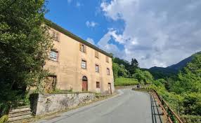 Image result for isolona