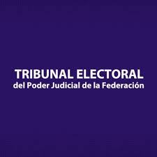 Ven a nuevas tecnologías como reto electoral guadalupe irízar cd. Tepjf Photos Facebook