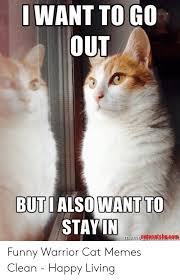 • • • bernie memes are so last week. 15 Clean Cat Memes Funny Factory Memes