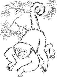 Affe Ausmalbilder Affen Malvorlagen Kinder Painting Coloringpagesforkids Ausmalen Coloring Affenzeichnung Ausmalbilder Ausmalen