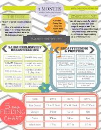 Free Printable 5 Month Old Feeding Chart The Good Latch