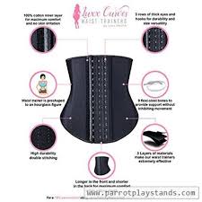 Luxx Curves Waist Trainer By Luxx Health Corset For Weight