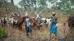 Image result for FULANI MEN