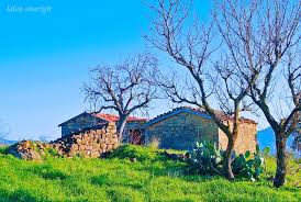 L'atlas tellien donne aussi naissance à plusieurs cours d'eau formant des vallées ou des plaines riches par leur flore et leur faune. Ouzellaguen Kabylie Paysage Lalou Amazigh Photography Facebook