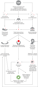 Research by vivid economics for international ngo wateraid has shown that each dollar invested in water, sanitation and hygiene (wash) could generate up to a . Conserving Africa S Wildlife And Wildlands Through The Covid 19 Crisis And Beyond Nature Ecology Evolution