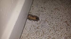 Even after we patched hole, you would definitely notice an imperfection in the floor if it was in a more obvious location. Should I Cover Or Repair Old Linoleum Flooring In Kid S Room Doityourself Com Community Forums