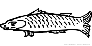 Ausmalbilder Fische