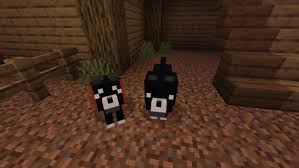 Jun 17, 2020 · the latest update for the human addon has dropped, including a revamped skin system, allowing for 1,664 different skins across all humans, a revamped upgrade system (now called fighters), as well as a revamped scheduling system that allows humans to live in villages and sleep in beds. Retold Minecraft Story Mode Add On Minecraft Pe Mods Addons