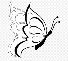 2.16mewarnai sketsa gambar kupu kupu 2.19gambar mewarnai kupu kupu cantik Kupu Kupu Buku Mewarnai Gambar Gambar Png