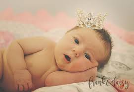 Frank & Daisy Photography & Design