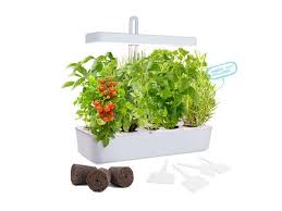 Growled Led Height Adjustable 10 Pod Indoor Garden Germination Kit Self Watering Herb Garden Hydroponic Kitchen Garden Automatic Timer Smart Soil Sponge Ideal For Various Plants Diy Decoration Newegg Com