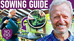 Vegetable cropping successions, first plantings then follows and overlaps