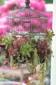 Hanging Succulent Garden Created With A Bird Cage 96 Pieces Plants Succulents In Containers Upcycle Garden