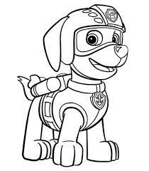 All coloring pages » cartoon » zuma paw patrol » paw patrol zuma badge. Paw Patrol Coloring Pages Coloring Home